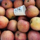 김천땅콩 이미지