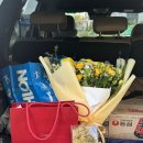 프로포즈 벤치 | 프로포즈 후기 #까르띠에다무르