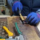 영양칠보석의료기 이미지