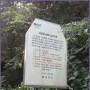 뒷골로, 뒷골1로 이미지