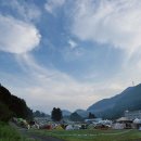 고명약국 - 서초구 바우뫼로 23 | Fuji Rock Festival 2025 첫 후지락 페스티벌 후기 - 4일차(1) 곤돌라 sky grass