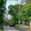 청요리 이미지