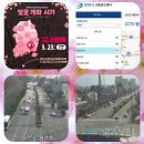 진해중앙고삼거리 네이버블로그