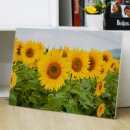 옹기종기 이미지