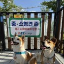 (주)코리아세븐 서울성모병원점 | 6/1-6/30