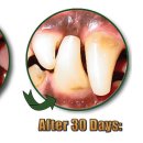 벳츠라이프 이미지