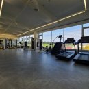 인생 핏 이미지