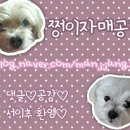 평창나또 쥐눈이콩나또&amp;노란콩나또 후기!