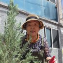 9월1일 게릴라 가든니 일하러 갑니다 이미지