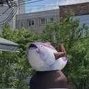 쎄당구클럽 | 달빛에 구운 스물다섯들