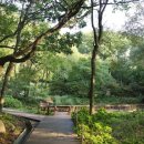 용인자연휴양림 숲속체험관 이미지