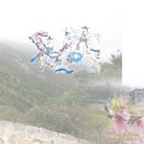 부산 금정 금정산성 정보화마을 네이버블로그