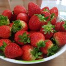 벧엘농장2 이미지