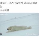 슈가복싱 프리미엄 하계점 이미지