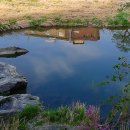 수동카독크 이미지