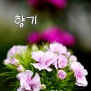 봄의아이