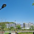 통일로240번길 이미지