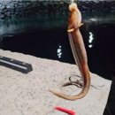 노을이야기 민박 이미지