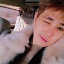 홍스타 이미지