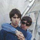 오아시스 이미지