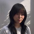 아라컨설팅