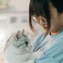 즐거운 동물병원 이미지