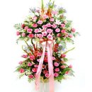 P.T의 신 이미지