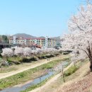 공주금성여자고등학교 이미지