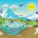 육하원칙 - 아산시 | 육하원칙