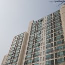 삼광중학교 Daum카페