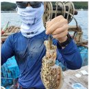 김선장 좌대낚시 네이버블로그