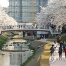 모전천 연합뉴스