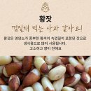 파인토피아봉화잣
