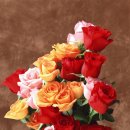 스테이25 이미지