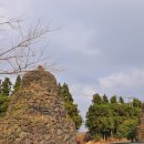 제주 자락 이미지