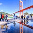 남해-231 이미지