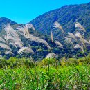 황산공원 이미지