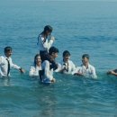 이영화농장 이미지