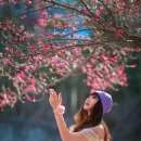 순천매산고등학교 이미지