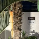 페이지인스테이 이미지