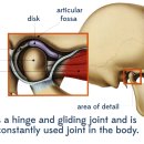 이승진한의원 이미지