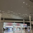 미야코지마 직항 진에어 후기, 인천공항 2 터미널 확장 공간 가보기