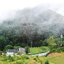 이층민박 이미지