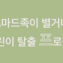 (주)엔제이커피 이미지