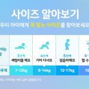 엔젤 소프트 이미지