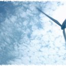 터치바디 이미지