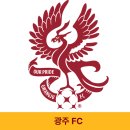 두암 빛고을 마트 앞 | 광주 FC 홈경기 직관후기!ㅣ광주FC 티케팅 꿀팁,가격,이정효감독, 광주월드컵경기장 먹거리, K리그, W석...