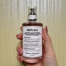 #4. 제품 기록: 메종 마르지엘라 스프링타임 인 어 파크 향수로 미리 봄을 맞이함