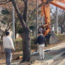 통신주 웹이코노미