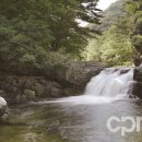 동유중기 이미지